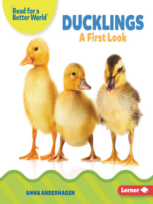 cover image of Ducklings